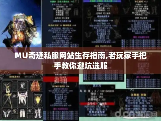 MU奇迹私服网站生存指南,老玩家手把手教你避坑选服