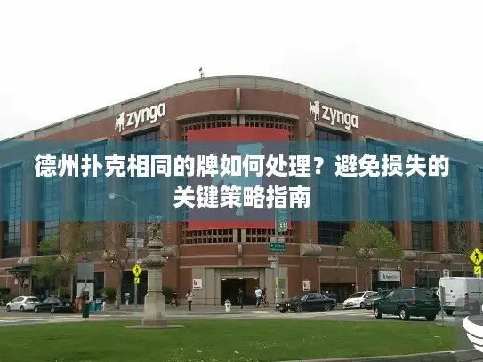 德州扑克相同的牌如何处理？避免损失的关键策略指南