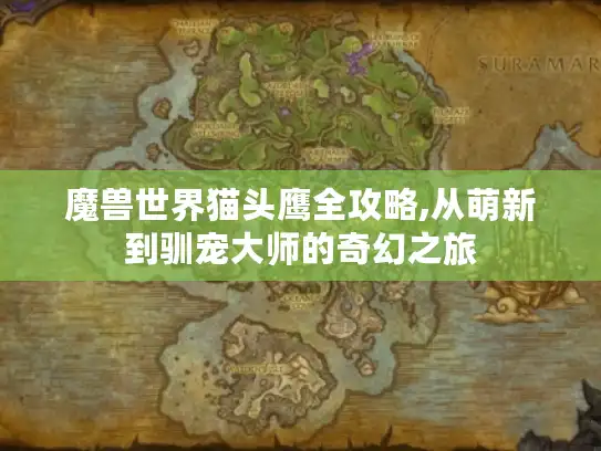 魔兽世界猫头鹰全攻略,从萌新到驯宠大师的奇幻之旅