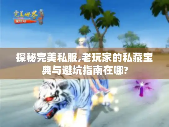 探秘完美私服,老玩家的私藏宝典与避坑指南在哪? 探秘完美私服,老玩家的私藏宝典与避坑指南在哪?