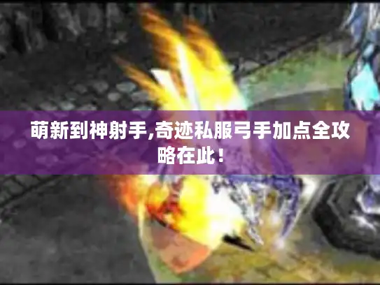 萌新到神射手,奇迹私服弓手加点全攻略在此！