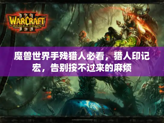 魔兽世界手残猎人必看，猎人印记宏，告别按不过来的麻烦