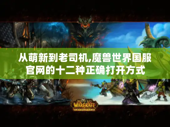 从萌新到老司机,魔兽世界国服官网的十二种正确打开方式