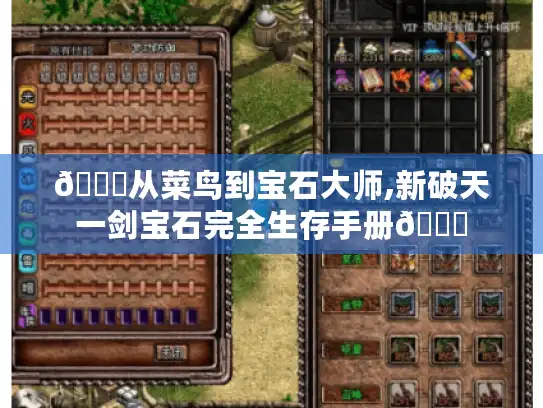🌟从菜鸟到宝石大师,新破天一剑宝石完全生存手册🌟