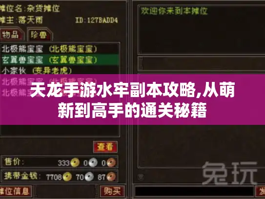 天龙手游水牢副本攻略,从萌新到高手的通关秘籍