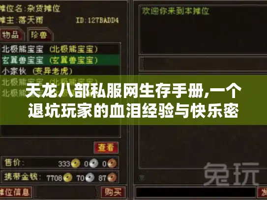 天龙八部私服网生存手册,一个退坑玩家的血泪经验与快乐密码