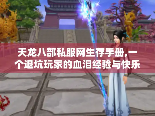 天龙八部私服网生存手册,一个退坑玩家的血泪经验与快乐密码