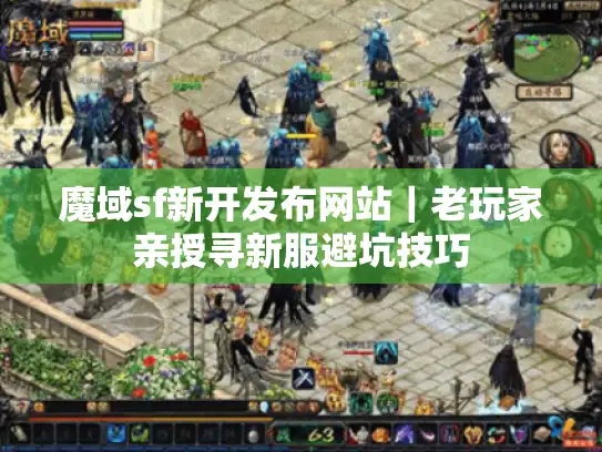 魔域sf新开发布网站｜老玩家亲授寻新服避坑技巧