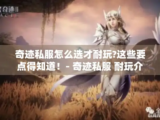 奇迹私服怎么选才耐玩?这些要点得知道！- 奇迹私服 耐玩介绍