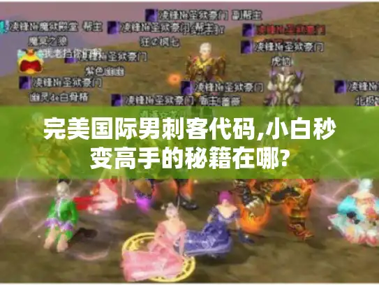 完美国际男刺客代码,小白秒变高手的秘籍在哪?