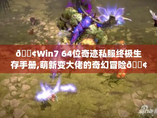 📢Win7 64位奇迹私服终极生存手册,萌新变大佬的奇幻冒险📢 📢Win7 64位奇迹私服终极生存手册,萌新变大佬的奇幻冒险📢