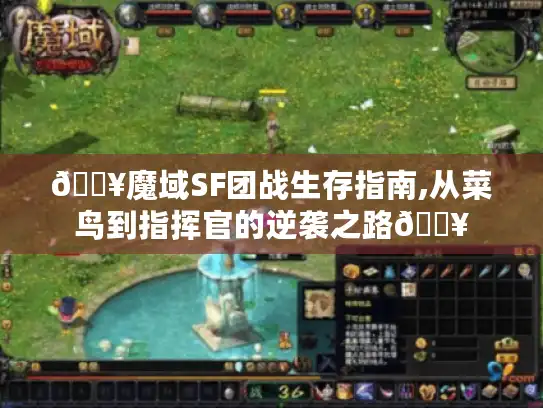 🔥魔域SF团战生存指南,从菜鸟到指挥官的逆袭之路🔥