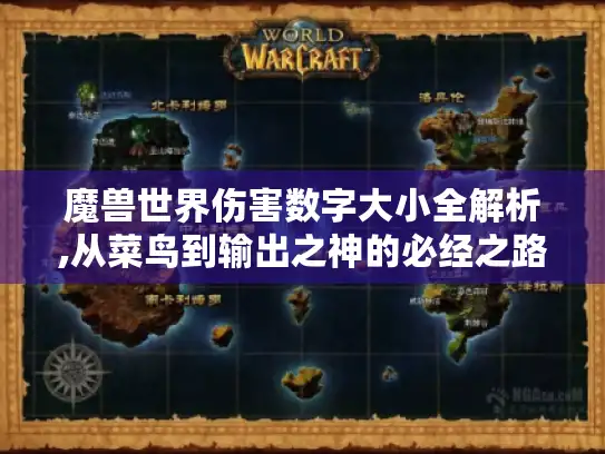 魔兽世界伤害数字大小全解析,从菜鸟到输出之神的必经之路