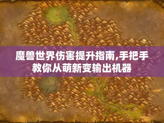 魔兽世界伤害提升指南,手把手教你从萌新变输出机器