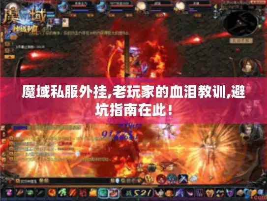 魔域私服外挂,老玩家的血泪教训,避坑指南在此！