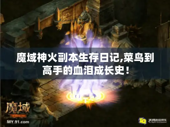 魔域神火副本生存日记,菜鸟到高手的血泪成长史！