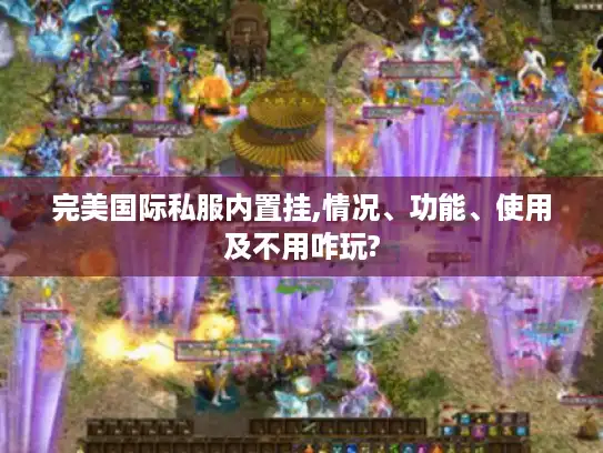 完美国际私服内置挂,情况、功能、使用及不用咋玩?