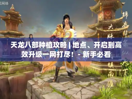 天龙八部种植攻略 | 地点、开启到高效升级一网打尽！- 新手必看