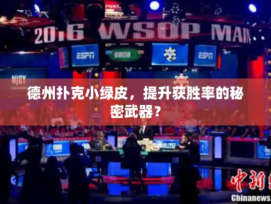 德州扑克小绿皮，提升获胜率的秘密武器？