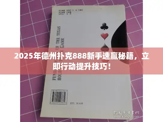 2025年德州扑克888新手速赢秘籍，立即行动提升技巧！
