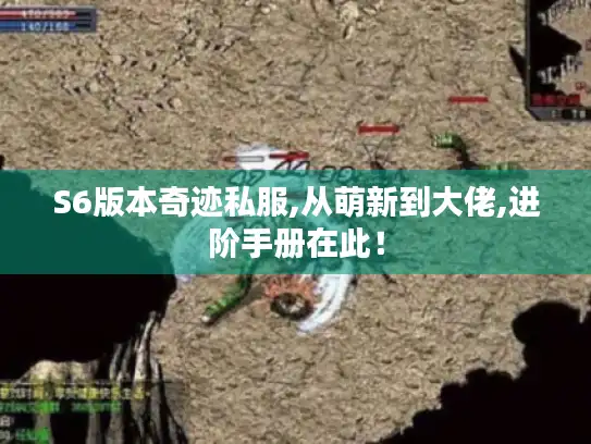 S6版本奇迹私服,从萌新到大佬,进阶手册在此! S6版本奇迹私服,从萌新到大佬,进阶手册在此!