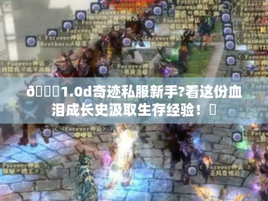 📚1.0d奇迹私服新手?看这份血泪成长史汲取生存经验！✨