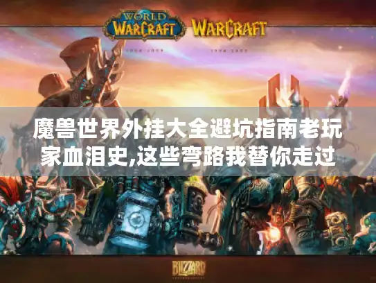 魔兽世界外挂大全避坑指南老玩家血泪史,这些弯路我替你走过了