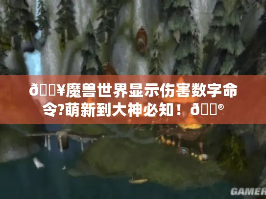 🔥魔兽世界显示伤害数字命令?萌新到大神必知！🎮
