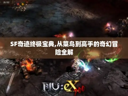 SF奇迹终极宝典,从菜鸟到高手的奇幻冒险全解