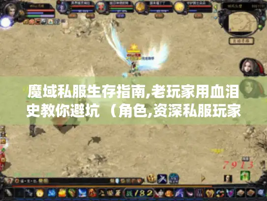 魔域私服生存指南,老玩家用血泪史教你避坑 （角色,资深私服玩家）