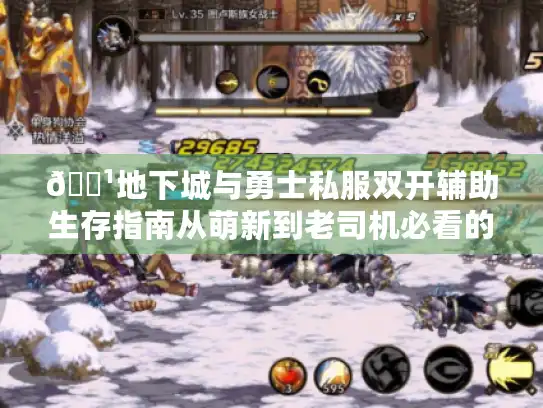 🏹地下城与勇士私服双开辅助生存指南从萌新到老司机必看的九条黄金法则