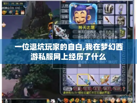 一位退坑玩家的自白,我在梦幻西游私服网上经历了什么