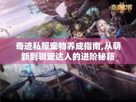 奇迹私服宠物养成指南,从萌新到驯宠达人的进阶秘籍