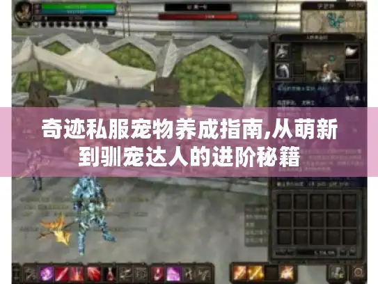 奇迹私服宠物养成指南,从萌新到驯宠达人的进阶秘籍