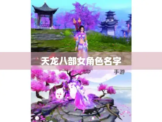 天龙八部女角色名字