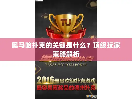 奥马哈扑克的关键是什么？顶级玩家策略解析