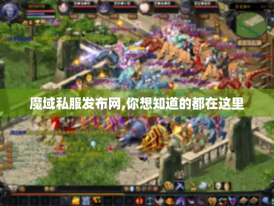 魔域私服发布网,你想知道的都在这里