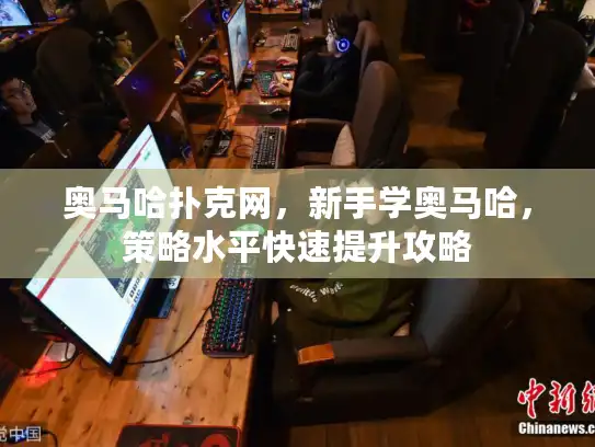 奥马哈扑克网，新手学奥马哈，策略水平快速提升攻略