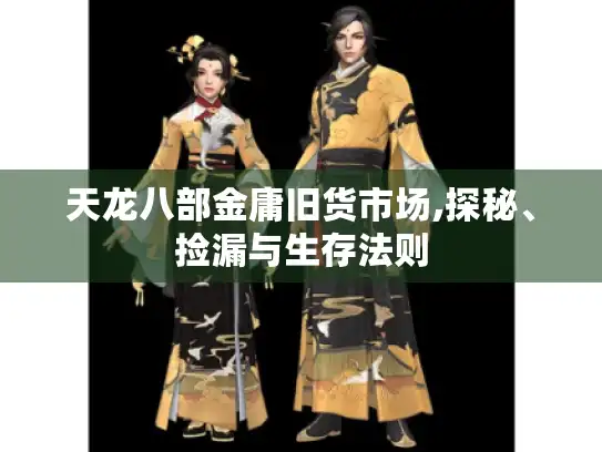 天龙八部金庸旧货市场,探秘、捡漏与生存法则