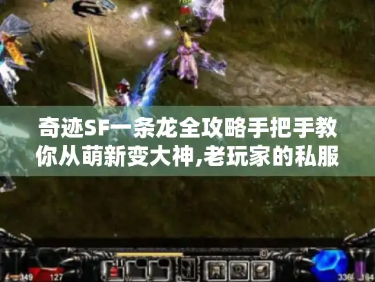 奇迹SF一条龙全攻略手把手教你从萌新变大神,老玩家的私服生存手册