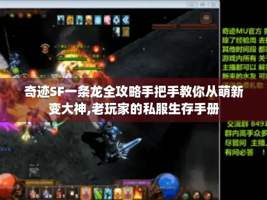 奇迹SF一条龙全攻略手把手教你从萌新变大神,老玩家的私服生存手册