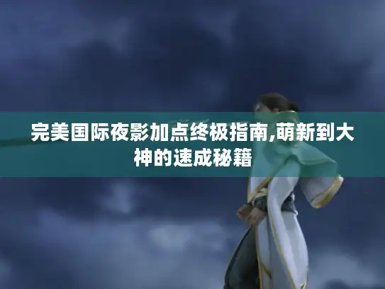完美国际夜影加点终极指南,萌新到大神的速成秘籍