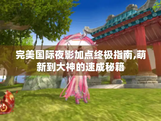 完美国际夜影加点终极指南,萌新到大神的速成秘籍