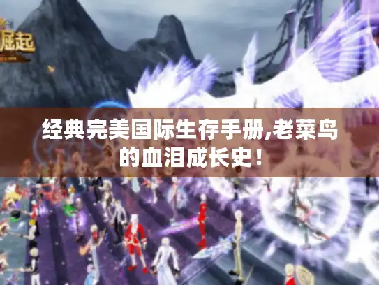 经典完美国际生存手册,老菜鸟的血泪成长史！