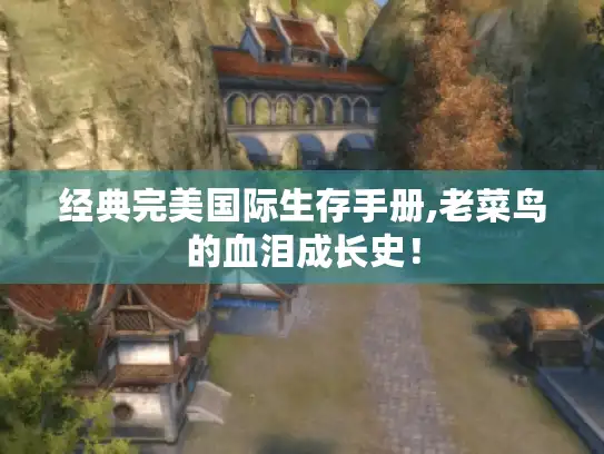 经典完美国际生存手册,老菜鸟的血泪成长史！