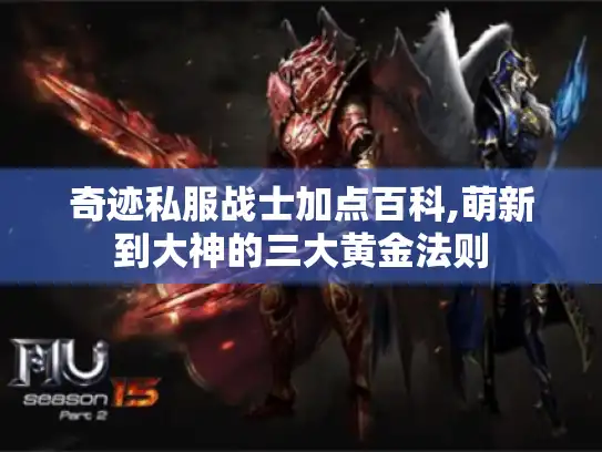 奇迹私服战士加点百科,萌新到大神的三大黄金法则