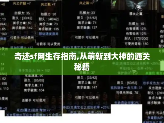 奇迹sf网生存指南,从萌新到大神的通关秘籍