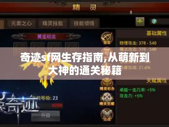 奇迹sf网生存指南,从萌新到大神的通关秘籍
