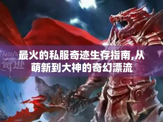 最火的私服奇迹生存指南,从萌新到大神的奇幻漂流