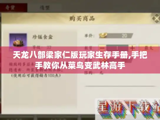 天龙八部梁家仁版玩家生存手册,手把手教你从菜鸟变武林高手